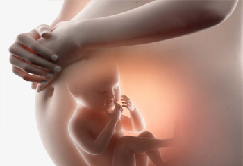 胎儿鉴定样本采集方法