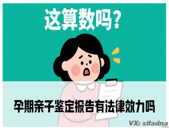 孕期亲子鉴定报告有法律效力吗