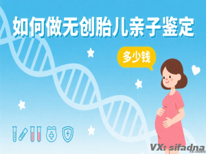 如何做无创胎儿亲子鉴定多少钱