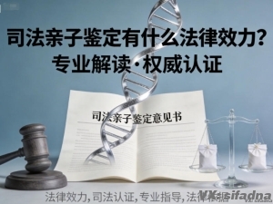 司法亲子鉴定有什么法律效力？