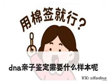 dna亲子鉴定需要什么样本呢