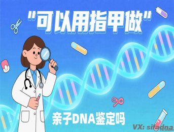 可以用指甲做亲子DNA鉴定吗