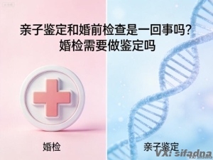 亲子鉴定和婚前检查是一回事吗？婚检需要做鉴定吗