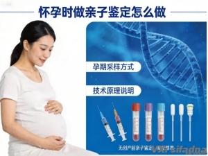 怀孕时做亲子鉴定怎么做