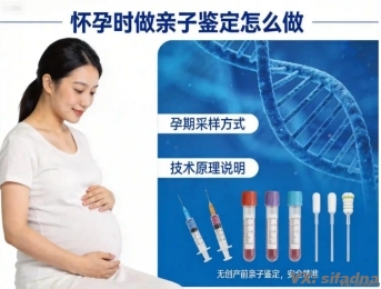 怀孕时做亲子鉴定怎么做