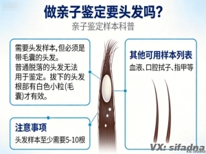 做亲子鉴定要头发吗