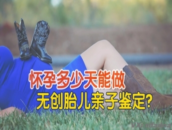 怀孕多少天可以做无创胎儿亲子鉴定？