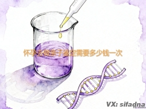 怀孕去做亲子鉴定需要多少钱一次