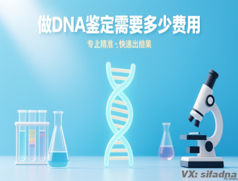 做dna鉴定需要多少费用