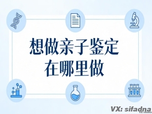 想做亲子鉴定在哪里做