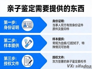 亲子鉴定需要提供的东西