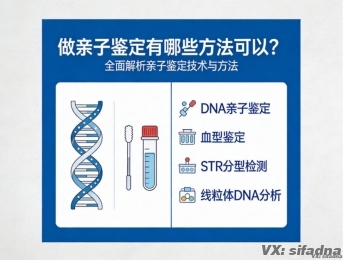 做亲子鉴定有哪些方法可以？全面解析亲子鉴定技术与方法