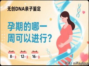 无创DNA亲子鉴定在孕期的哪一周可以进行