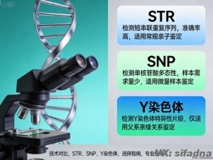 如何选择亲子鉴定技术？STR、SNP、Y染色体对比