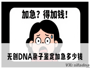 无创DNA亲子鉴定加急多少钱