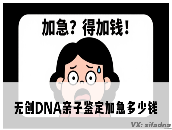 无创DNA亲子鉴定加急多少钱