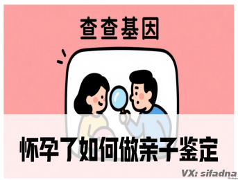 怀孕了如何做亲子鉴定