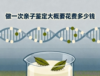 做一次亲子鉴定大概要花费多少钱