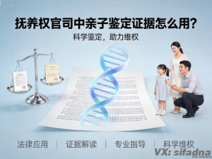 抚养权官司中亲子鉴定证据怎么用？