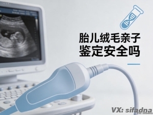 胎儿绒毛亲子鉴定安全吗