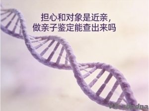担心和对象是近亲，做亲子鉴定能查出来吗