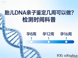 胎儿DNA亲子鉴定几周可以做？检测时间科普