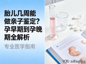 胎儿几周能做亲子鉴定？孕早期到孕晚期全解析