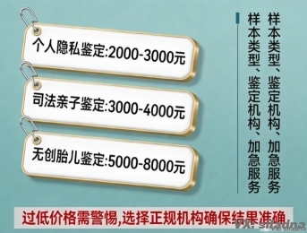 普通的亲子鉴定多少钱
