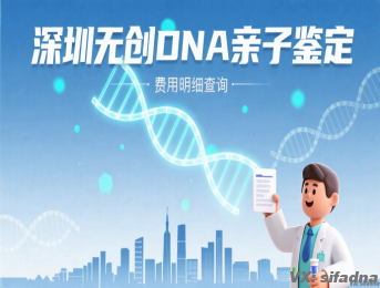 深圳无创DNA亲子鉴定多少钱