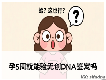孕5周就能验无创DNA鉴定吗