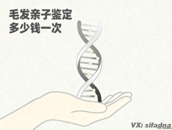 毛发亲子鉴定多少钱一次