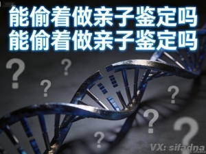 能偷着做亲子鉴定吗