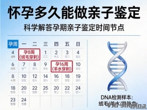 怀孕多久能做亲子鉴定