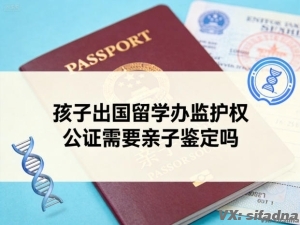 孩子出国留学办监护权公证需要亲子鉴定吗