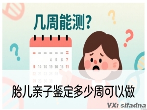 胎儿亲子鉴定多少周可以做
