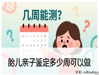 胎儿亲子鉴定多少周可以做