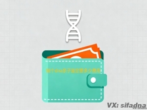 做个dna亲子鉴定要多少费用