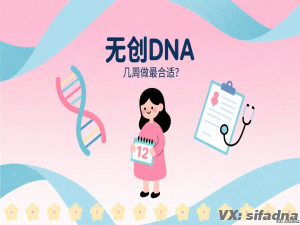 无创DNA几周做最合适?  
