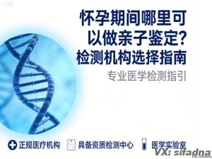怀孕期间哪里可以做亲子鉴定？检测机构选择指南