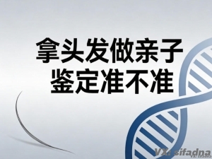 拿头发做亲子鉴定准不准