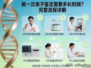 做一次亲子鉴定需要多长时间？完整流程详解