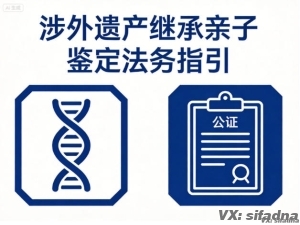 继承国外亲戚遗产需要做亲子鉴定吗,流程怎么走