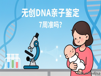 无创DNA亲子鉴定7周准吗