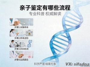 亲子鉴定有哪些流程