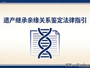 亲子鉴定在遗产继承中的具体作用和流程