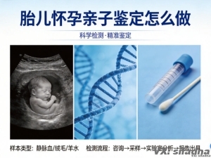 胎儿怀孕亲子鉴定怎么做