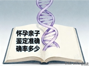 怀孕亲子鉴定准确率多少