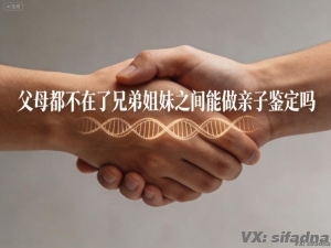 父母都不在了兄弟姐妹之间能做亲子鉴定吗