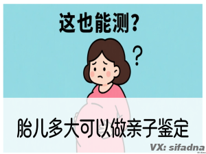 胎儿多大可以做亲子鉴定