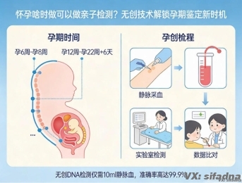 怀孕啥时做可以做亲子检测？无创技术解锁孕期鉴定新时机